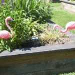 flamingo statues in garden box