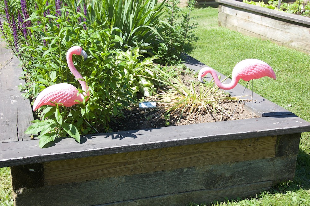 flamingo statues in garden box