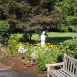 statue along arbors outdoor walkway