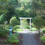 walkway with pergola