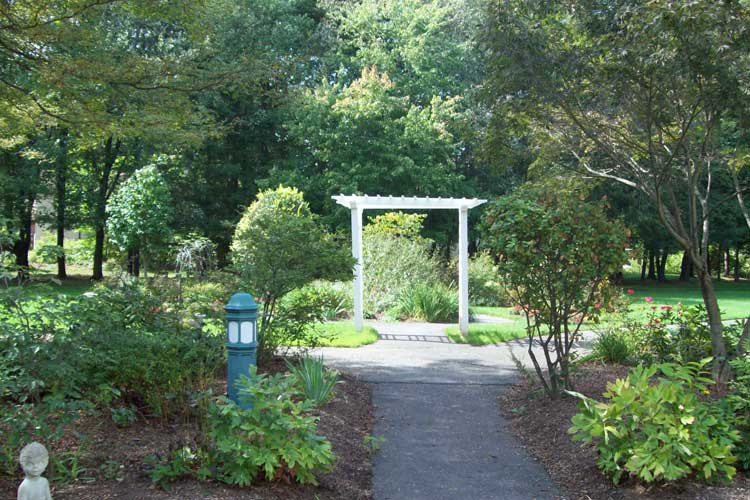 walkway with pergola